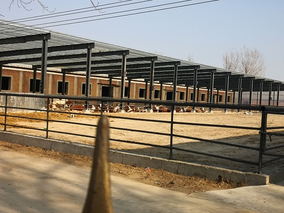 QQ图片20211224090627.jpg